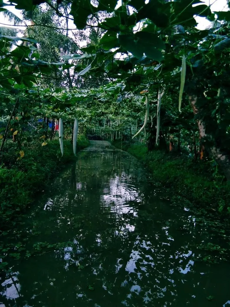 Thomman'S Farm Stay Kottayam