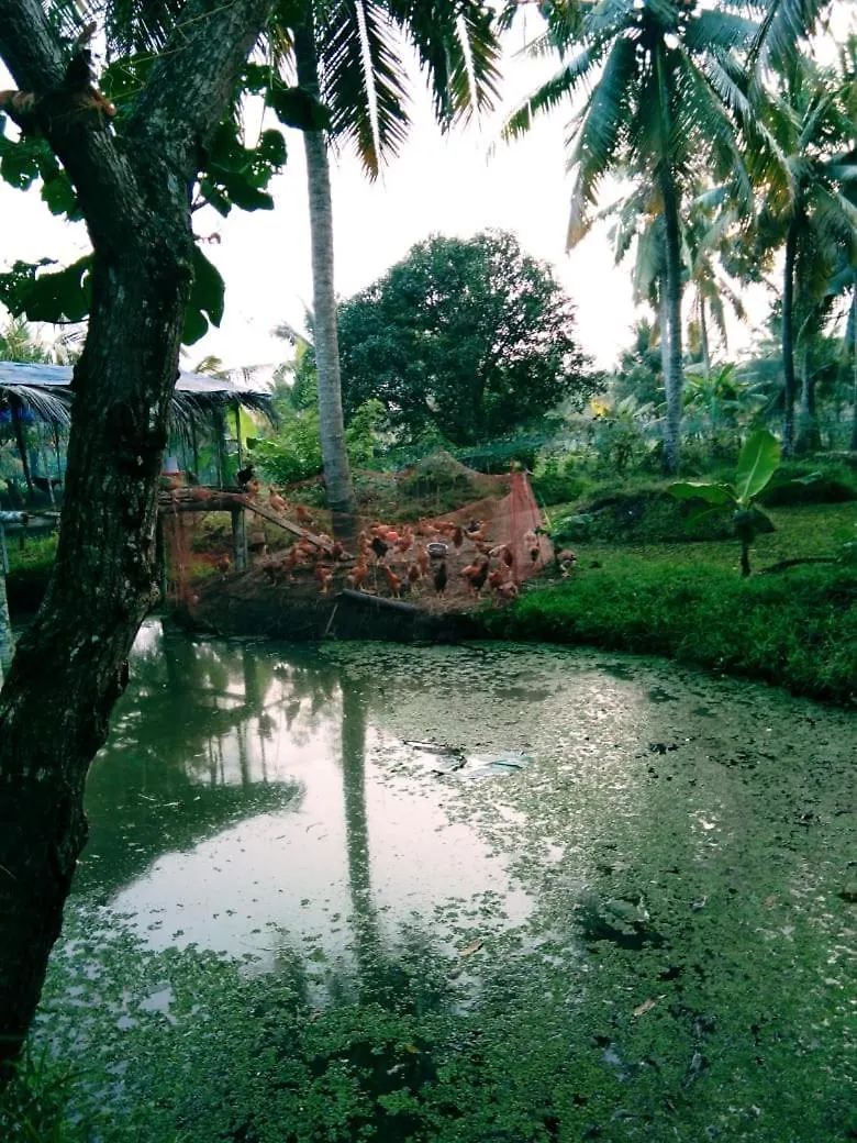 Thomman'S Farm Stay Kottayam India