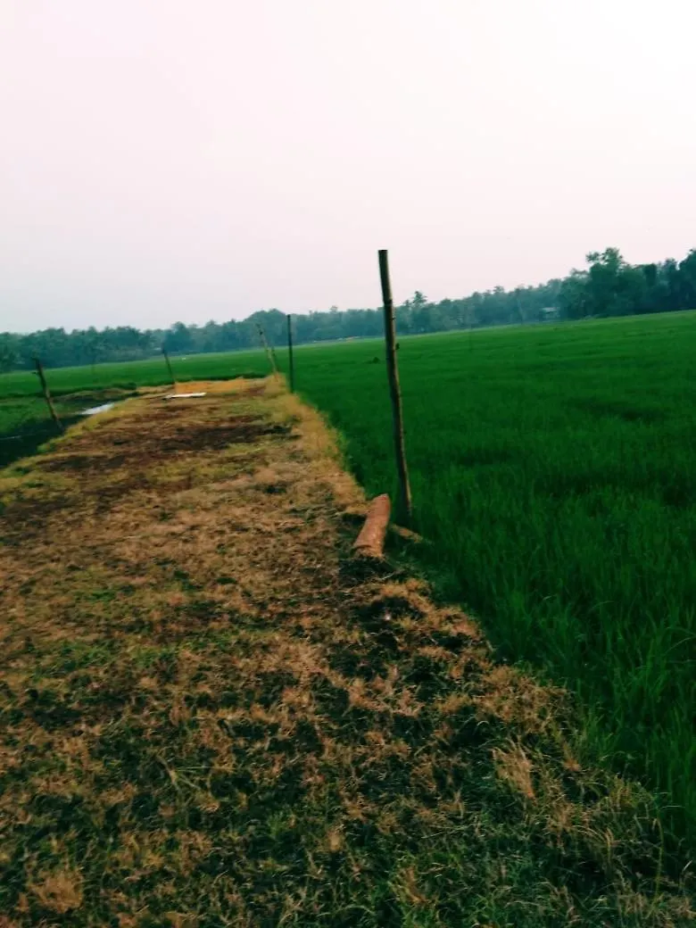 Thomman'S Farm Stay Kottayam