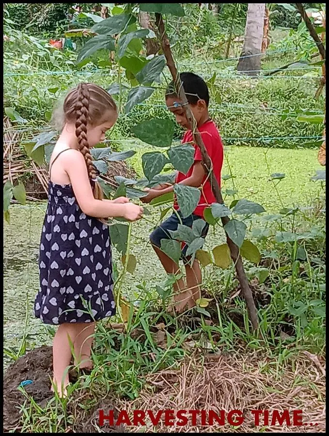 Thomman'S Farm Stay Kottayam 0*,